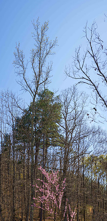 BOT01868-Pano
