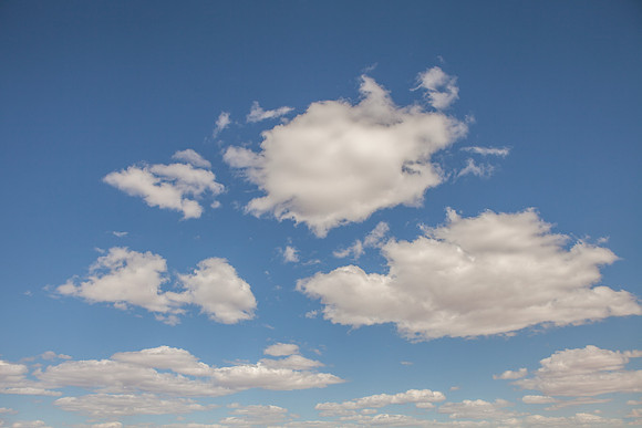 ara_day6_desert_03.27.2014_50