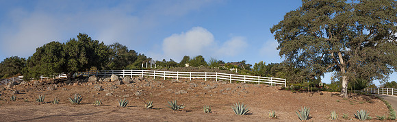 IMG_8652-Pano