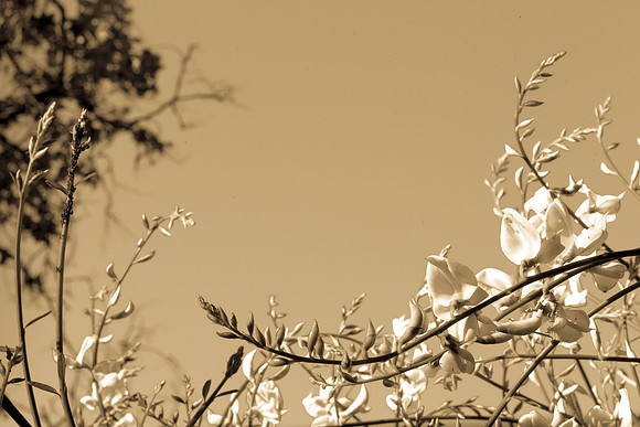 158_04.27.2015_mighty_hunter