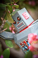robot_yaya