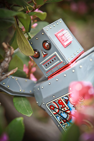 robot_yaya