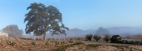 IMG_8530-Pano-Edit-2
