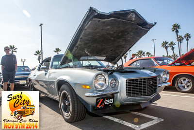 hb_vet_car_show_2014_142