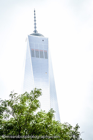 ara_day155_377