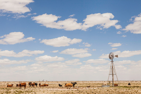 Day39_11__04.29.2014_Lovington.NM