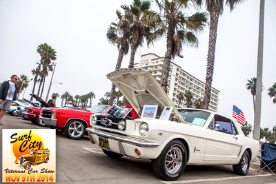 hb_vet_car_show_2014_96