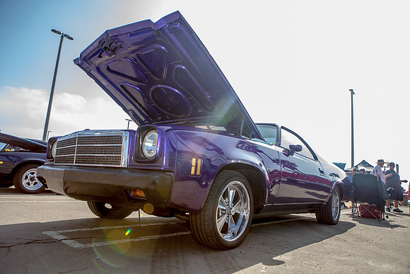 hb_vet_car_show_2014_286