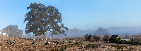 IMG_8530-Pano-Edit
