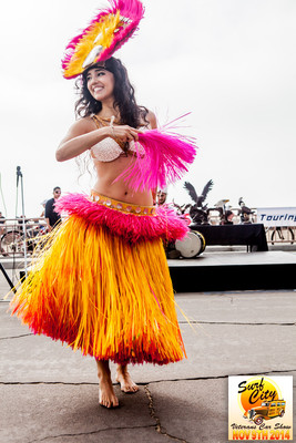 hb_vet_car_show_2014_120