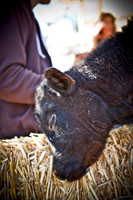 RR_2012_Spring_BBQ_018