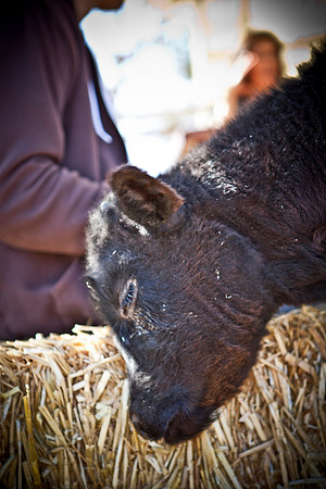RR_2012_Spring_BBQ_018