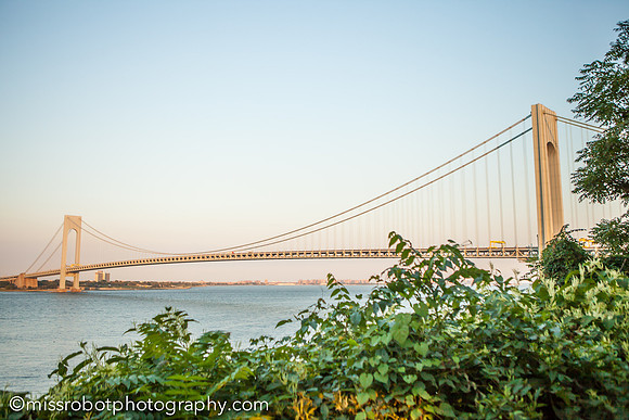 ara_day158_49