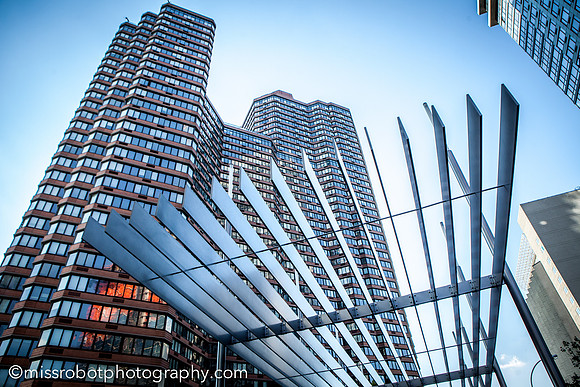 ara_day157_41