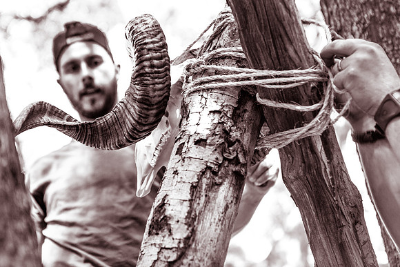 14_04.27.2015_mighty_hunter